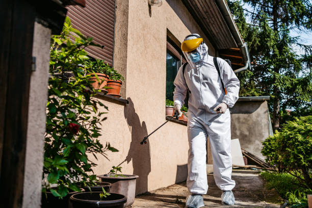 Best Pest Inspection Near Me  in Rensselaer, NY