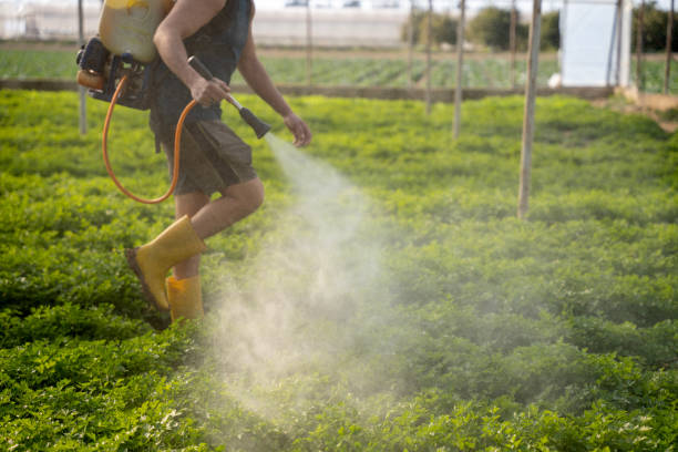 Best Best Pest Control Companies  in Rensselaer, NY