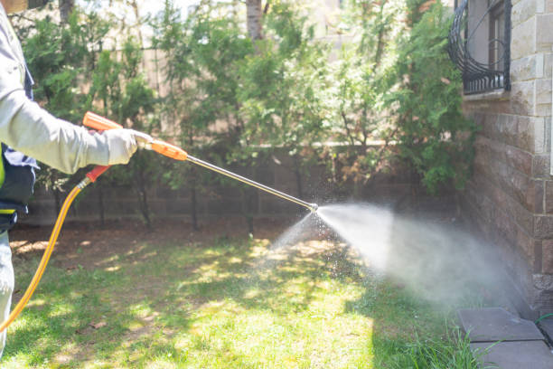 Pest Prevention Services in Rensselaer, NY