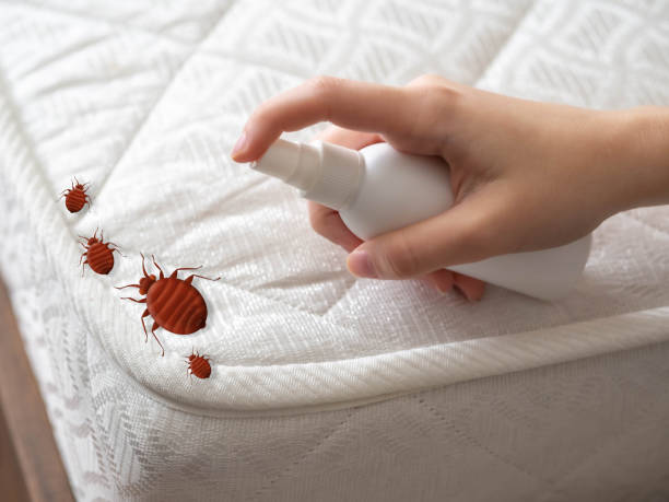 Professional Pest Control in Rensselaer, NY